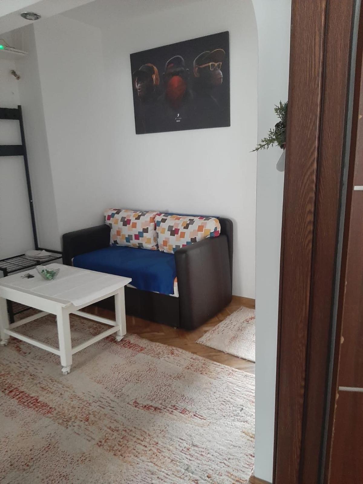 Mari&Vio Apartment Клуж-Напока Екстериор снимка